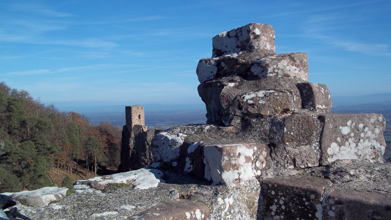 Randonnée aux trois châteaux de Ribeauvillé