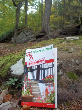 Guide du routard édition Vosges du Nord, édition 2017